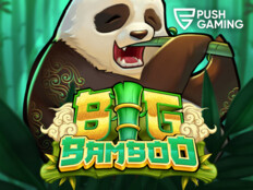 Untamed giant panda casino99